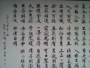 研究书法欣赏中的审美价值与差异
